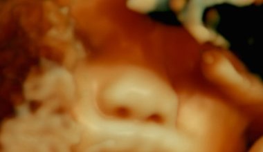 a film image